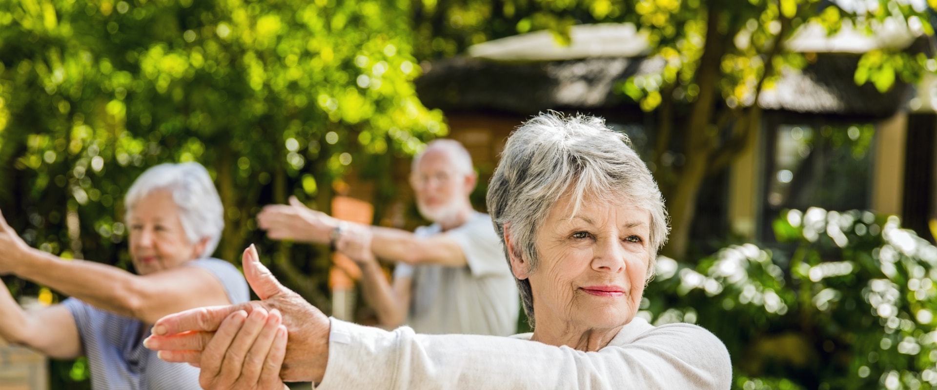 Exploring Social Activities and Companionship for Elder Care Services